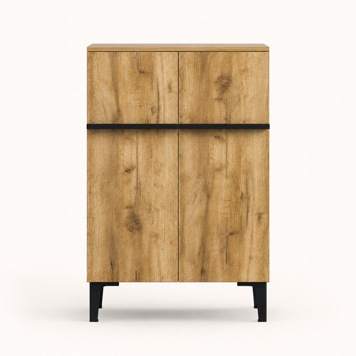 Shoe cabinet double door - cabinet,